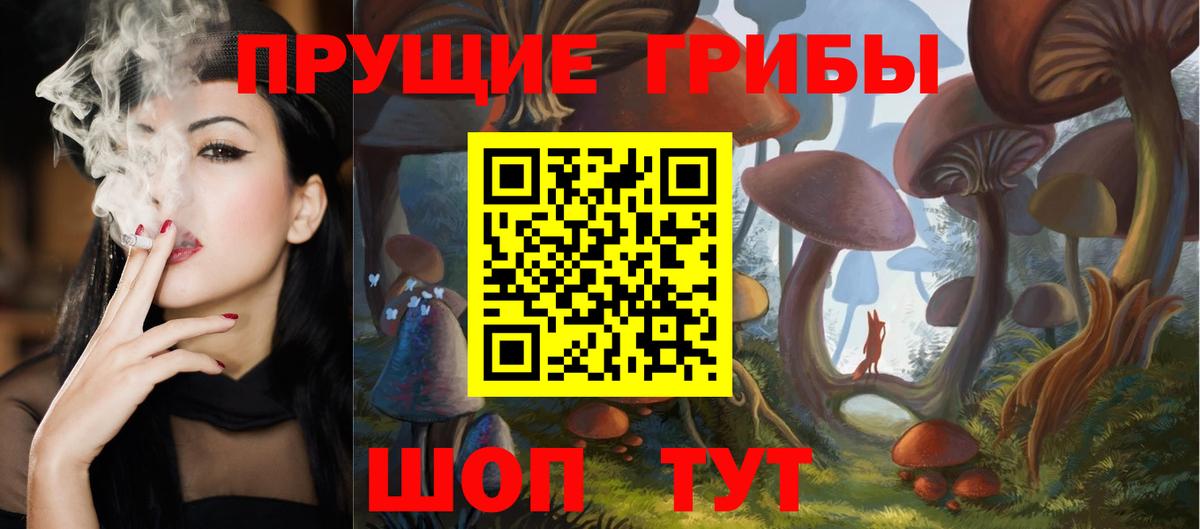 Псилоцибиновые грибы мицелий  Вход с VPN  Биробиджан 